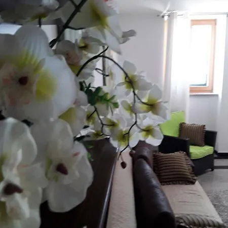 Apartment Stadthaus Briski *